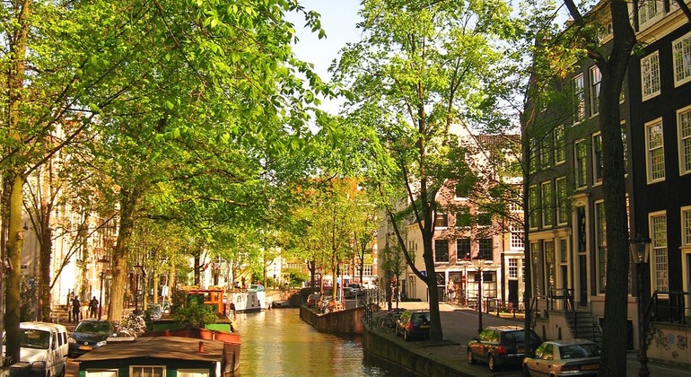 FreeTour Histórico de Ámsterdam: Siglo de Oro, Anna Frank, IIGM y 70'  Países Bajos — #6