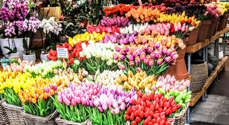 FreeTour Histórico de Ámsterdam: Siglo de Oro, Anna Frank, IIGM y 70'  Países Bajos — #7