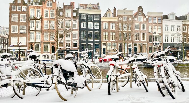 FreeTour Histórico de Ámsterdam: Siglo de Oro, Anna Frank, IIGM y 70'  Países Bajos — #8