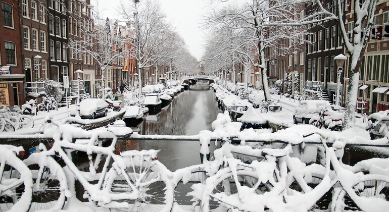 FreeTour Histórico de Ámsterdam: Siglo de Oro, Anna Frank, IIGM y 70'  Países Bajos — #12