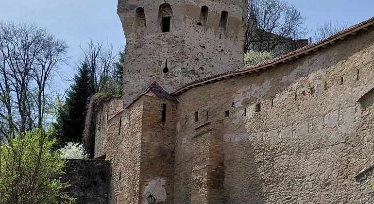sighisoara-citadel-walking-tour-es-19