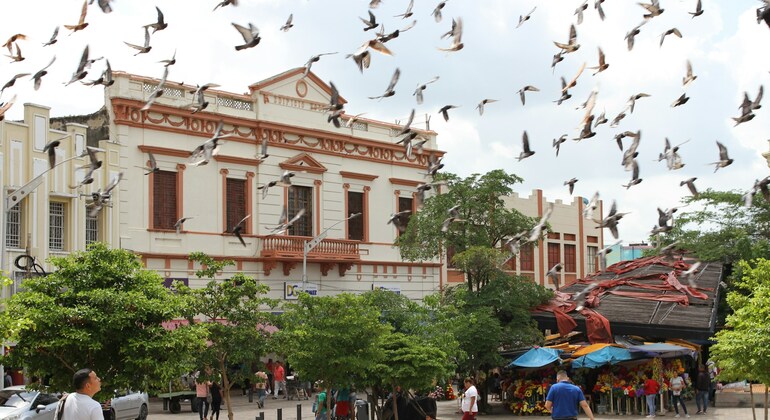 Free Tour El Prado in Barranquilla Provided by Gisela Balseiro