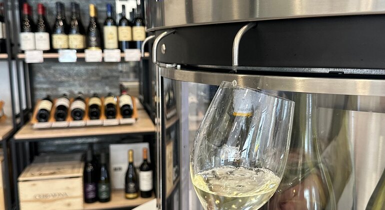 marseille-wine-cheese-experience-es-6