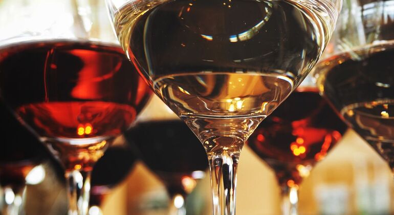 marseille-wine-cheese-experience-es-9