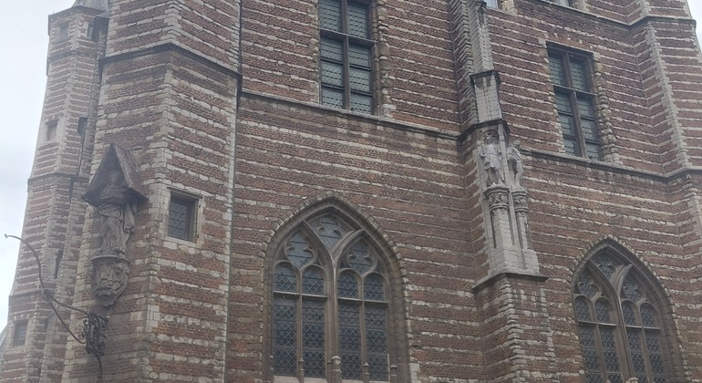Explore Historic Antwerp on Foot Free Tour Belgium &mdash; #5