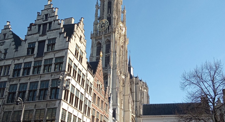 Explore Historic Antwerp on Foot Free Tour Belgium &mdash; #9