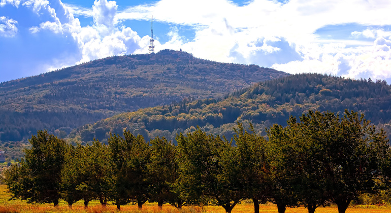 full-day-unesco-church-of-peace-tour-en-4