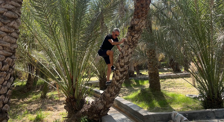 Excursão a Al Ain a partir de Abu Dhabi: Explorar a cultura e a natureza