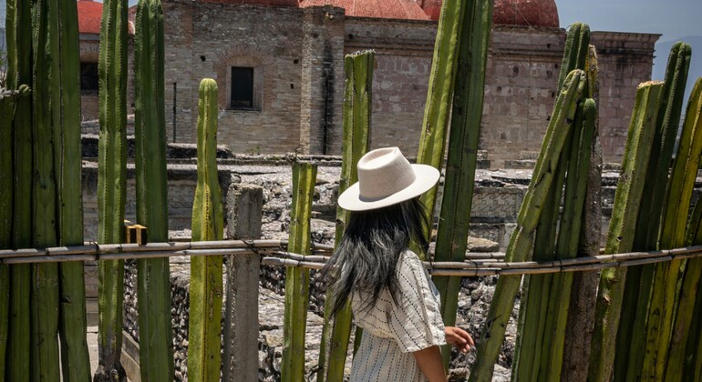 Free Tour of Mexico City with a Historian Provided by Free Tour Europe