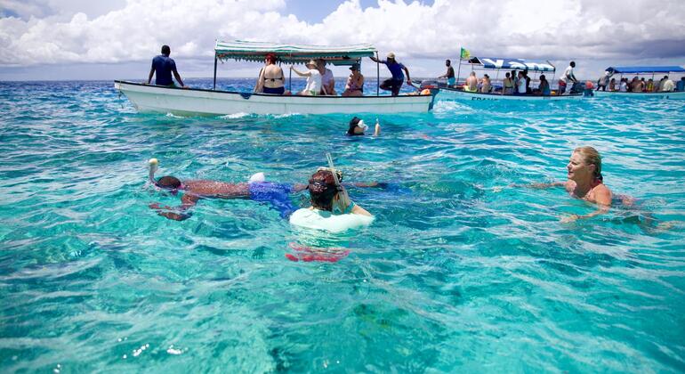 Mnemba Dolphins and Sunset Cruise Tanzania — #3