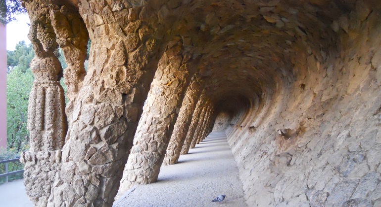 explore-park-guell-on-foot-es-4