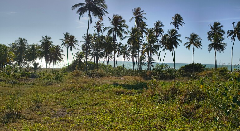 discover-maceio-on-two-wheels-en-3