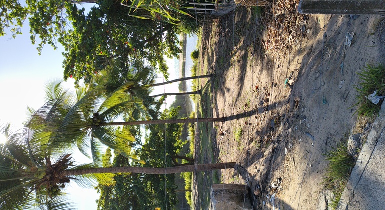 discover-maceio-on-two-wheels-en-4