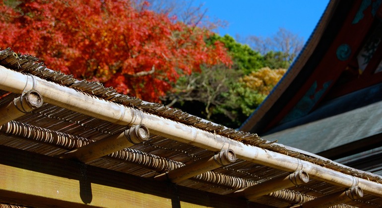 a-day-out-in-kamakura-food-temples-strolls-es-2