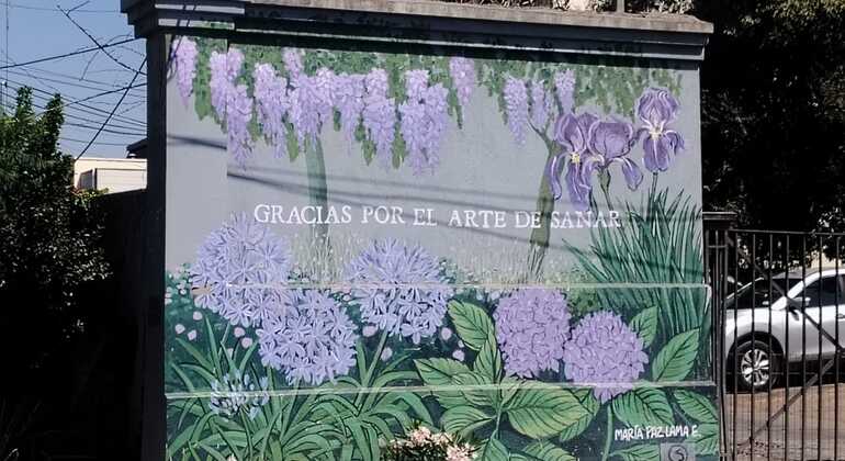 Santiago Free Tour: Providencia and its Neighborhoods Chile — #3