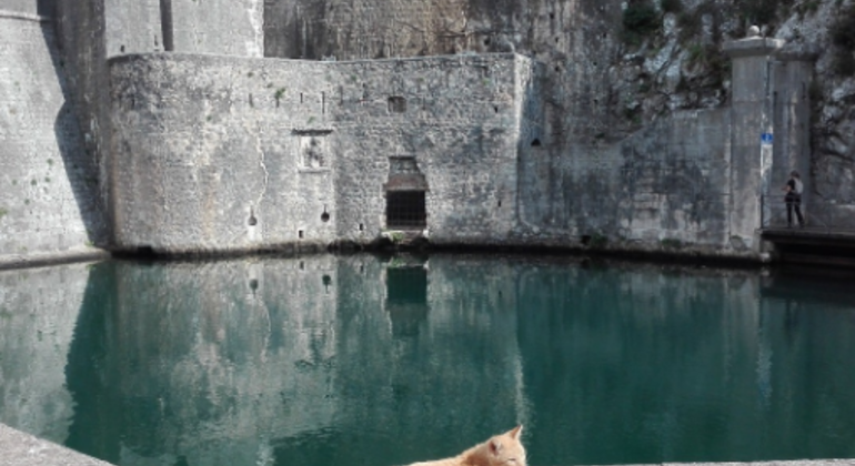 Die Altstadt von Kotor und ihre versteckten Juwelen Montenegro — #4