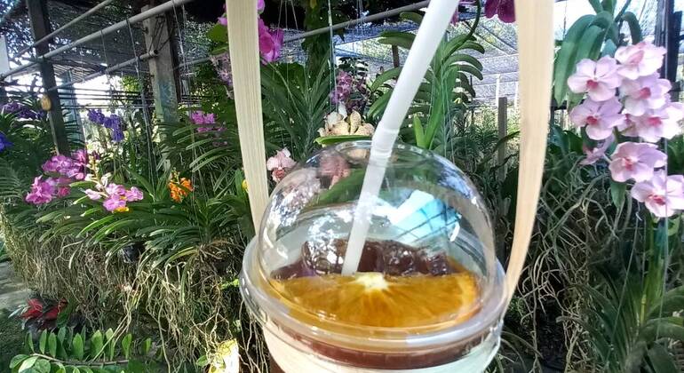 Mercado Flutuante de Banguecoque Comida local autêntica e passeio de barco Tailândia — #28