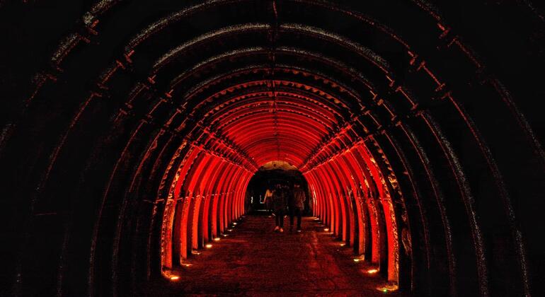 Tour di gruppo della Cattedrale di Sale di Zipaquira - Tour da 1 Pax Colombia — #2