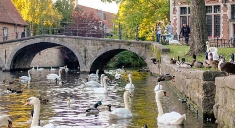Private Tour of Medieval Bruges Belgium — #2