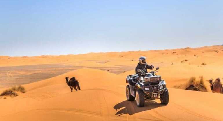 Marrakech : Quad nel deserto di Agafay e spettacoli con cena Marocco — #4