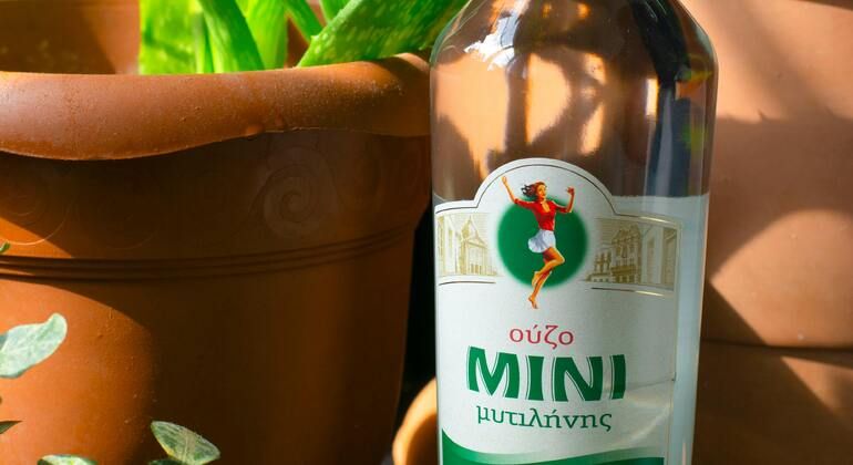 eat-like-a-greek-with-a-local-guide-en-4