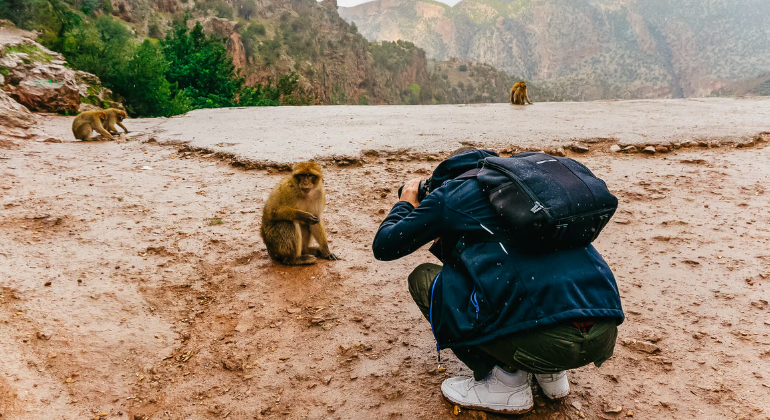 Da Marrakech: Escursione guidata alle cascate di Ouzoud e gita in barca Marocco &mdash; #6