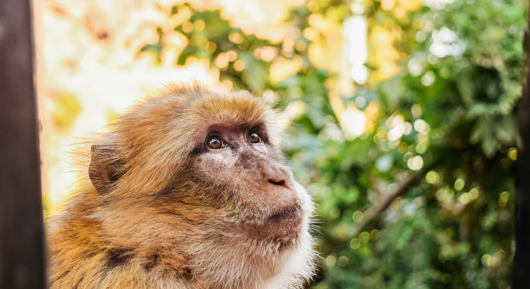 Da Marrakech: Escursione guidata alle cascate di Ouzoud e gita in barca Marocco &mdash; #18
