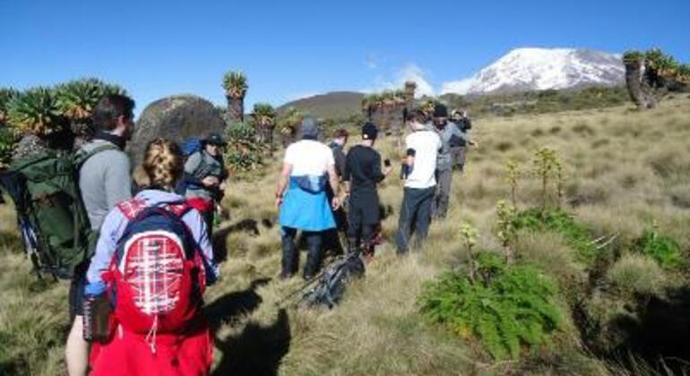 Arrampicata di un giorno sul Kilimanjaro, via Marangu Tanzania &mdash; #4