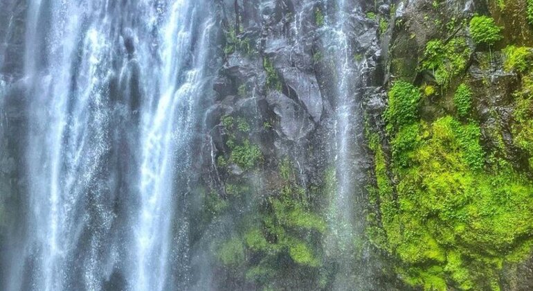 Chemka Hot Springs Kikuletwa Day Trip from Moshi Provided by JACKSON