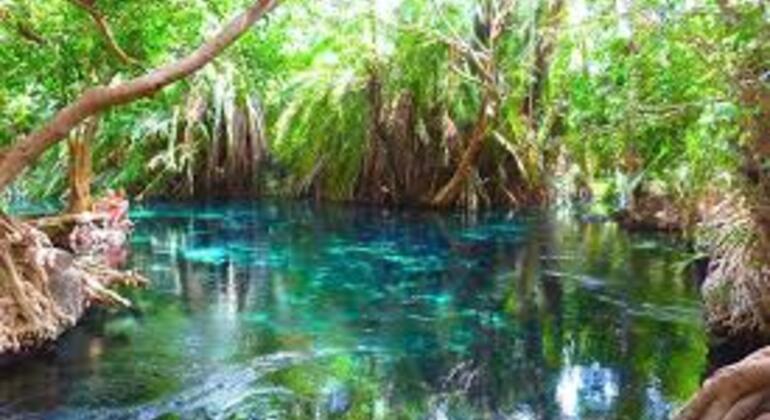 Chemka Hot Springs Kikuletwa Day Trip from Moshi Tanzania &mdash; #5