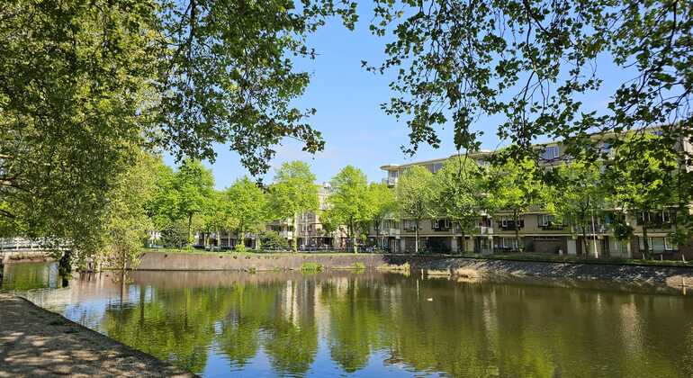 Amsterdam Eastern Islands Free Tour Netherlands &mdash; #4