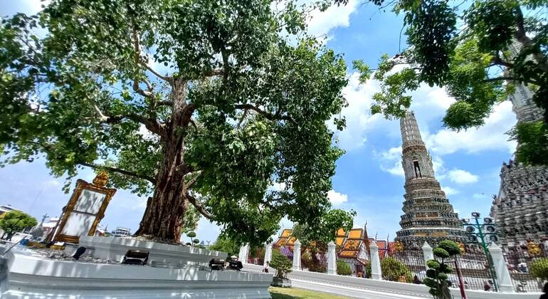 Tour del Grand Palace e dei templi di Bangkok Tailandia — #13