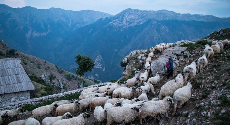 Découvrez Lukomir, le village caché des montagnes Bosnie-Herzégovine — #4