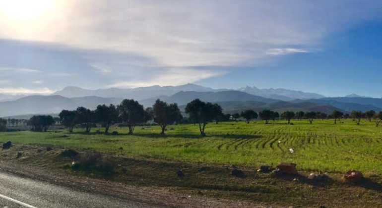 Excursión de un día al Atlas y paseo en camello Operado por Abderrahim