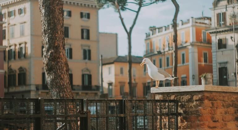 food-tour-in-rome-es-1