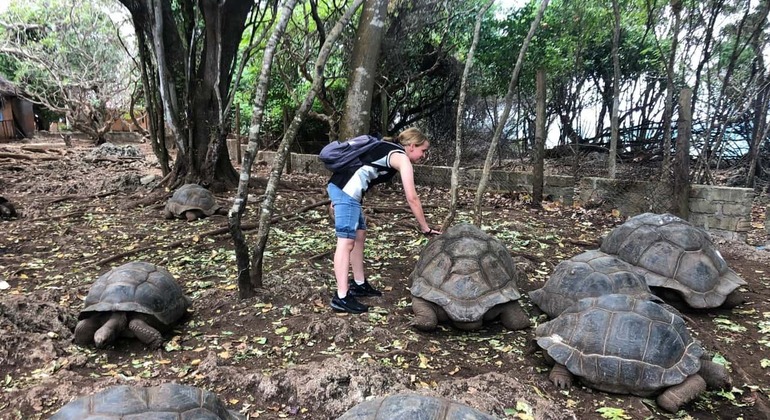 Zanzibar: Ilha Prisão e excursão ao banco de areia de Nakupenda Tanzânia — #4