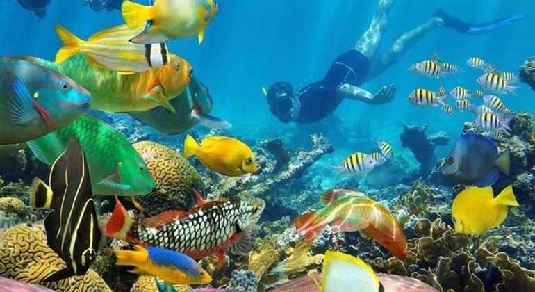 Zanzibar: Ilha Prisão e excursão ao banco de areia de Nakupenda Tanzânia — #6