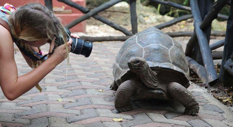 Zanzibar: Ilha Prisão e excursão ao banco de areia de Nakupenda Tanzânia — #12