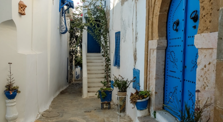 Visita gratuita a Sidi Bou Said de Túnis Tunísia — #5