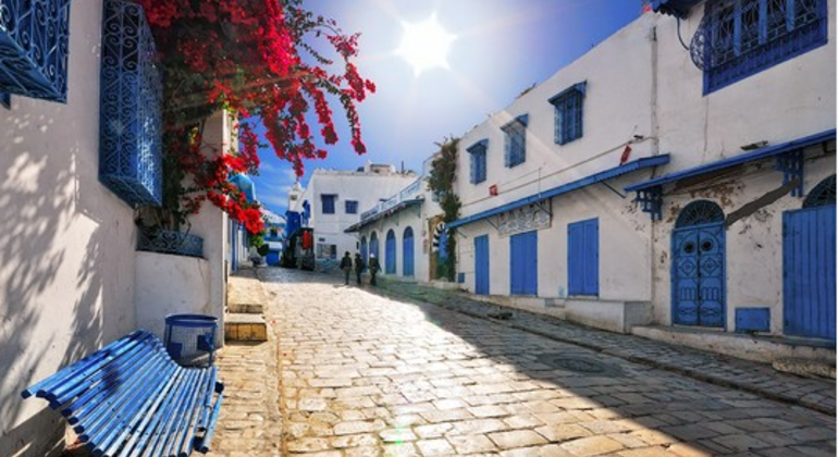 Visita gratuita a Sidi Bou Said de Túnis Tunísia — #7