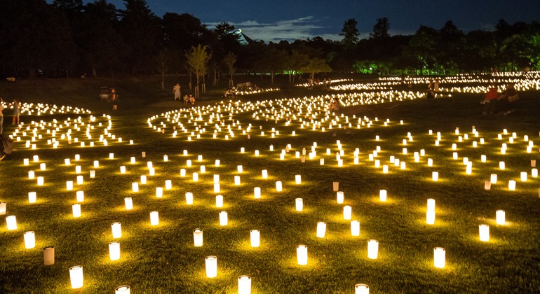 Experience Kyoto & Nara: Where Tradition Meets Wonder Japan &mdash; #5