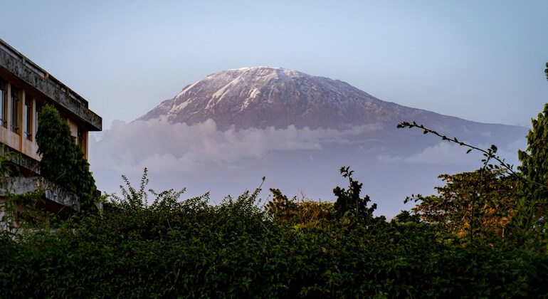Cascate di Materuni e pranzo a base di caffè Fornito da Visit Moshi