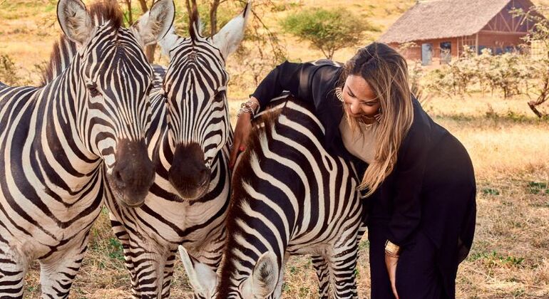 Excursion d'une journée au sanctuaire de Serval Tanzanie — #2