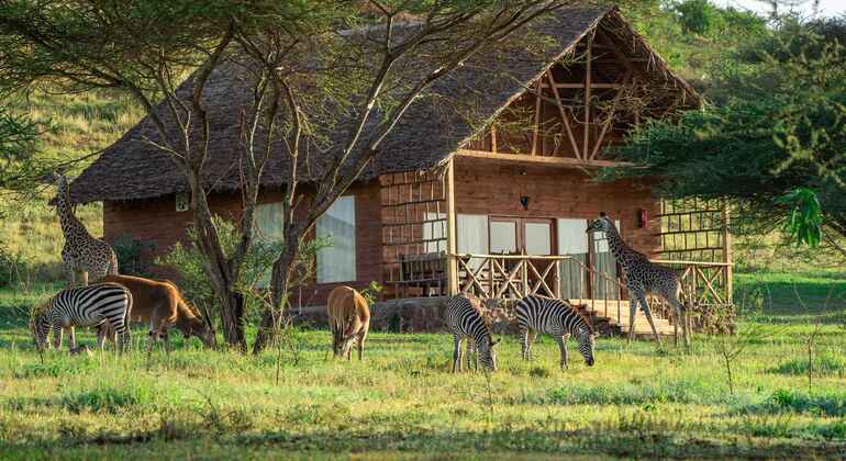 Excursion d'une journée au sanctuaire de Serval Fournie par Nyamera Treks and Safaris