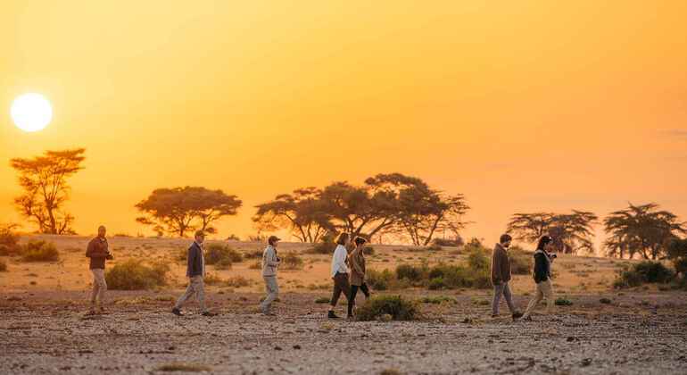 Tarangire Wildlife Safari Adventure Tanzânia — #6