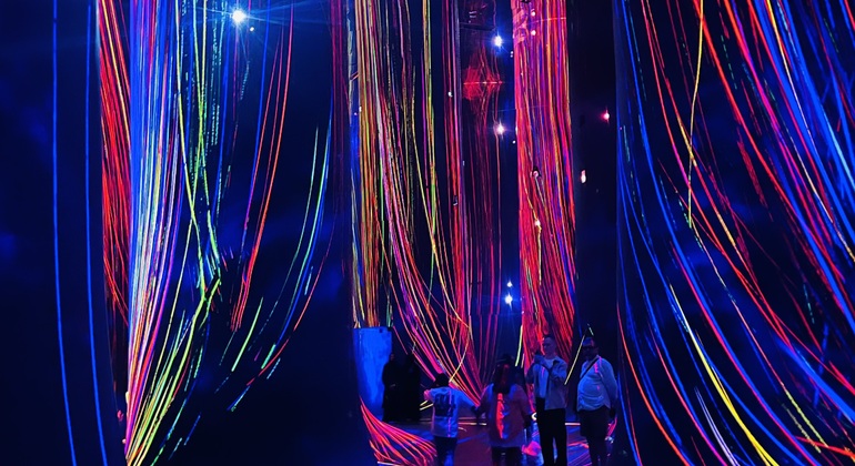 Louvre Museum and TeamLab Phenomena Day Tour