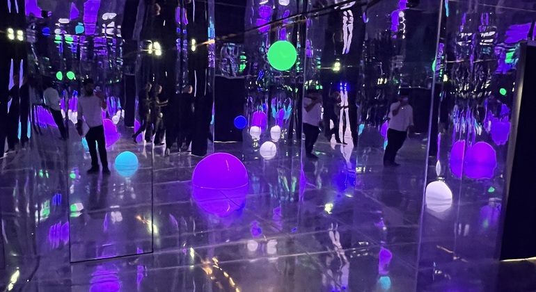 Visita de un día al Museo del Louvre y TeamLab Phenomena global.countries. — #7