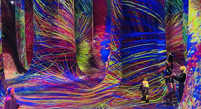 Visita de un día al Museo del Louvre y TeamLab Phenomena global.countries. — #9