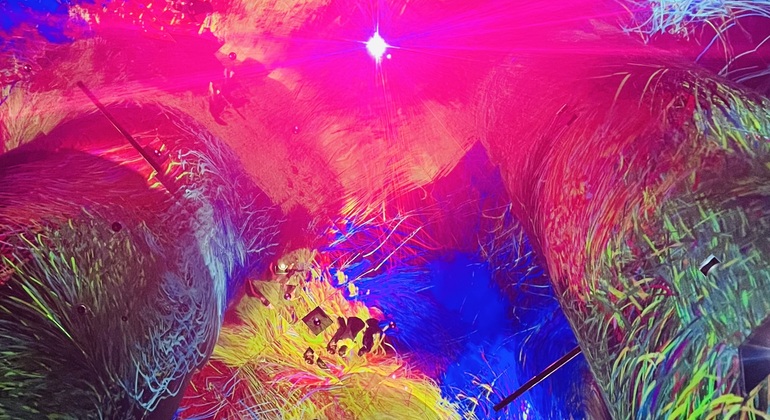 Visita de un día al Museo del Louvre y TeamLab Phenomena global.countries. — #10