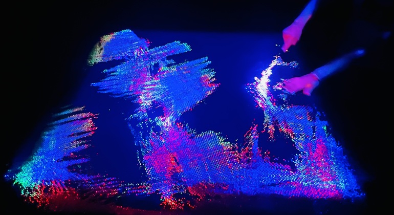 Visita de un día al Museo del Louvre y TeamLab Phenomena global.countries. — #11